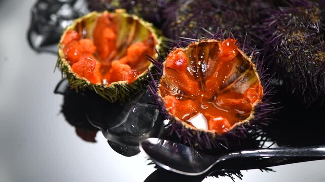 Sea Urchin with caviar close-up, on black background. Fresh open sea urchins with ice, ready to eat. Border design, delicatessen food. Traditional Mediterranean food. Roe. Sea food. 