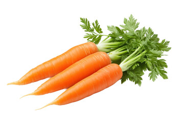 Fresh carrots with green tops ready for cooking, cut out