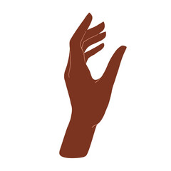 Hand palm illustration