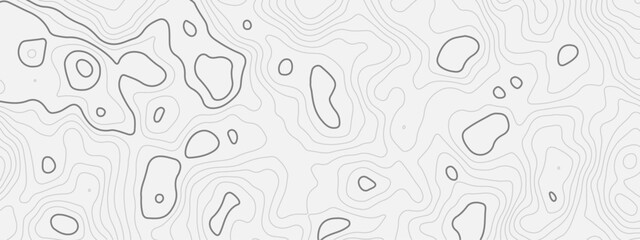 Abstract modern topographic white and black circle topo curve wave line wallpaper white background.