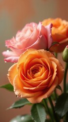 Professional Flower Arrangement: Delicate Blush Pink Garden Roses with Bold Orange Ranunculus, Dewdrops on Petals, Soft Peach and Sage Background, Romantic and Rich Depth