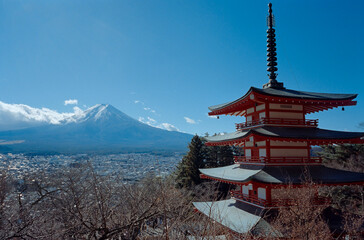 Fototapeta premium Mount Fuji