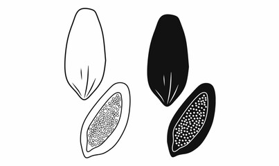 Vector illustration of papaya fruit in outline and silhouette styles. Perfect for food, agriculture, tropical fruit, nutrition, and botanical-themed designs
