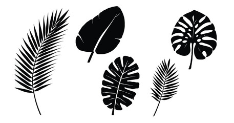 Set of tropical leaf silhouette