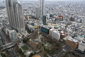 Obraz premium 都庁展望台から見た風景