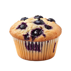 Blueberry muffin isolated on white background