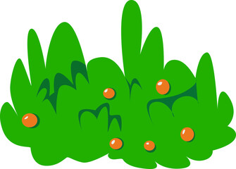 a  bush with a fruit