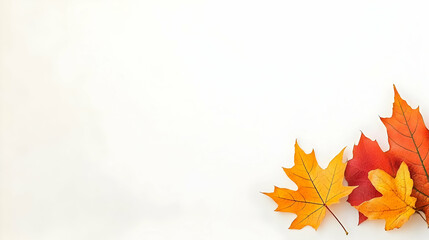 Photo Autumn Leaves Orange Yellow Red Fall Colors White Background