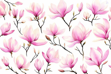 Illustration Pink Magnolia Flowers on White Background