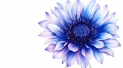 Obraz premium Illustration Blue Dahlia Flower Blossom Petals Bloom