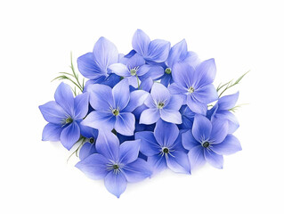 Lovely Blue Flowers Illustration