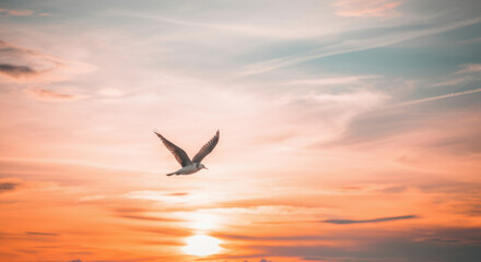 Fototapeta premium Seagull soaring at sunset over tranquil ocean