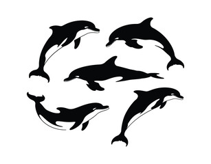 Fototapeta premium Clean Dolphin Silhouette Collection Illustration