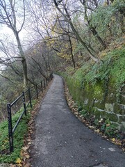Asphalt walking trail in the forest along the mountain in winter without snow or early spring.