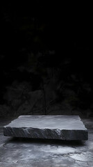 Photo Background Empty Stone Platform on Dark Backdrop