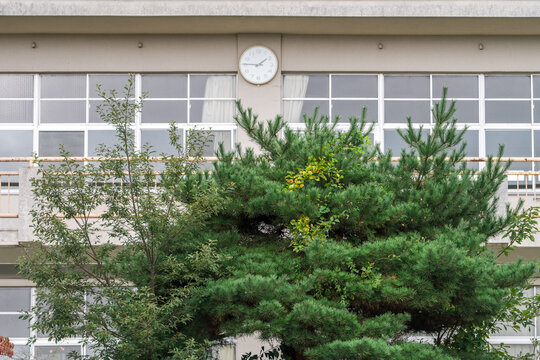 学校の校舎・時計
