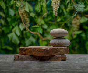 cosmetic background podium with brown stones and green fern