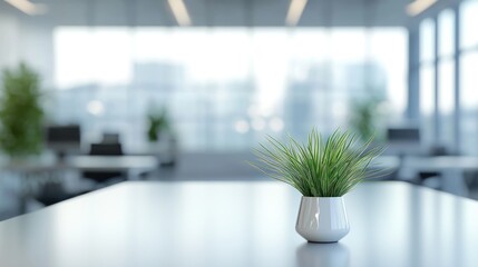 Small potted plant on modern office desk.