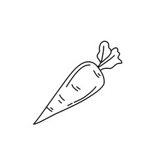 carrot line doodle