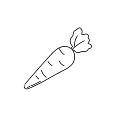 carrot line doodle