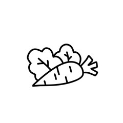 carrot line doodle