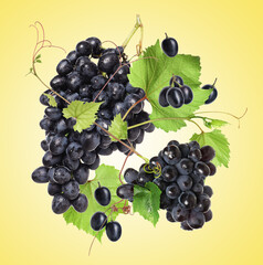 Fresh grapes in air on golden background