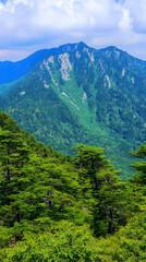 Obraz premium Photo Majestic Mountain Peak Lush Green Forest Scenic Landscape