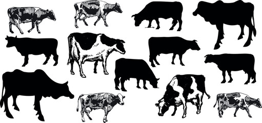 cow silhouette Vector set, cattle silhouettes, diverse breed of cows