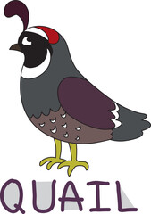 a male quail with a feather on its head stands with its wings folded with colorful text below hand written
