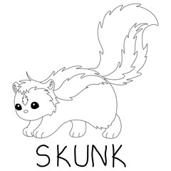 fluffy skunk with a big tail with text below hand written