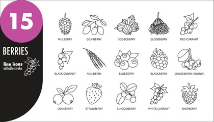 Berries editable stroke thin line icons set. Raspberry, strawberry, cranberry, gooseberry, currant, blueberry, blackberry, mulberry, goji berry, elderberry, acai berry, aronia, vector illustration