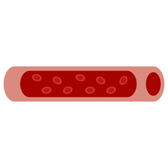 blood vessel colored icon