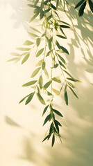 Fototapeta premium Photo - Sunlight, Leaves, Shadows, Green, Nature, Plant, Light, Background, Wall, Branch