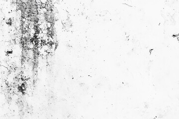 Obraz premium Grunge white texture with black stains.