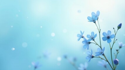 Delicate Light Blue Flowers on a Soft Aqua Background with a Gentle Bokeh Effect