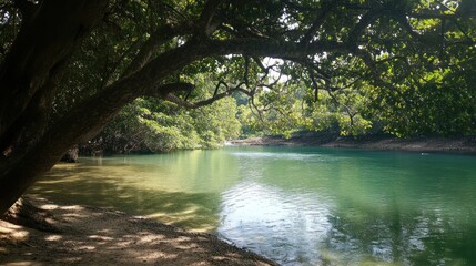 Obraz premium Serene Lagoon Escape: Tranquil Waters Under Lush Canopy
