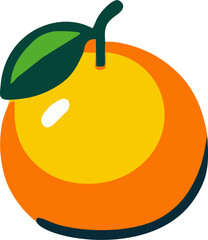 vector illustration of an orange fruit