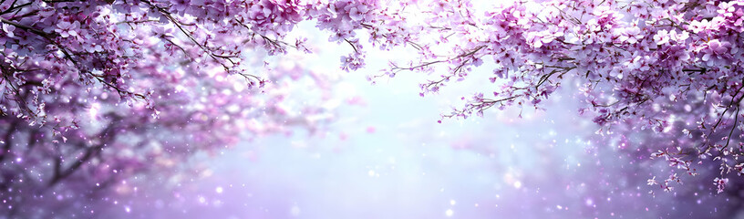 Fototapeta premium Pink blossoms, spring garden, soft light