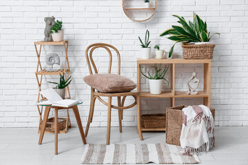 Interior of living room with chair, shelf units and succulents