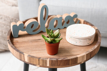 Succulent with decor on table in living room, closeup