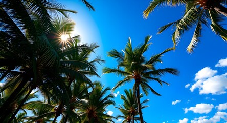 Obraz premium Tropical Palm Trees Against a Bright Sky