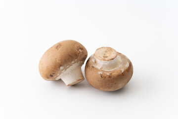 白背景に2個のブラウンマッシュルーム