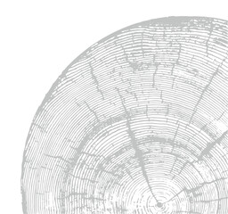 Obraz premium Gray monotone impression of end grain of wood slab. Tree rings art with texture and cracked surface. 