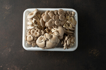A top down view of a container of gray oyster mushrooms.