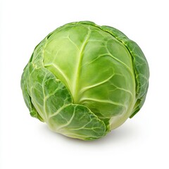 Fototapeta premium Fresh Green Brussels Sprout Close Up on White Background