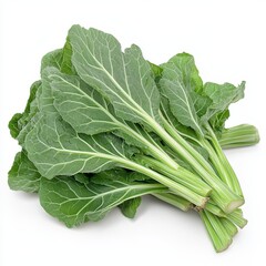 Fresh Green Leafy Vegetables with Thick Stalks on White Background