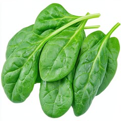 Obraz premium Fresh Green Spinach Leaves Close Up