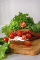 Club sandwich with salami, salad, vegetables, lettuce, cherry tomato, prosciutto, onion, spread cream cheese on a fresh sliced rye bread on wooden background. Healthy eating. Soft focus