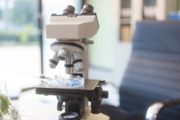 A food scientist analyzes food samples, plants, vegetables, and meat using a microscope and laboratory equipment to ensure safety, quality, and innovation in food science and technology