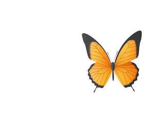 Obraz premium A Minimalist 2D Flat Vector Illustration Capturing the Elegance of a Butterfly and a Delicate Petal, Celebrating the Artistry of Invertebrate Life.